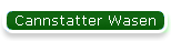 Cannstatter Wasen